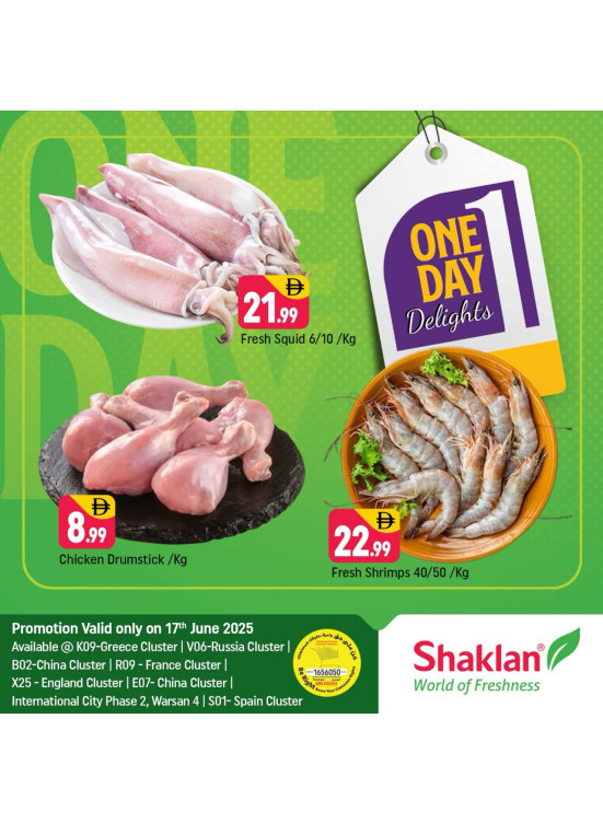 One Day Offers