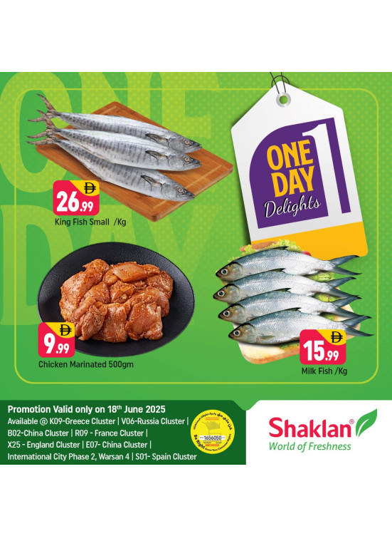 One Day Offers