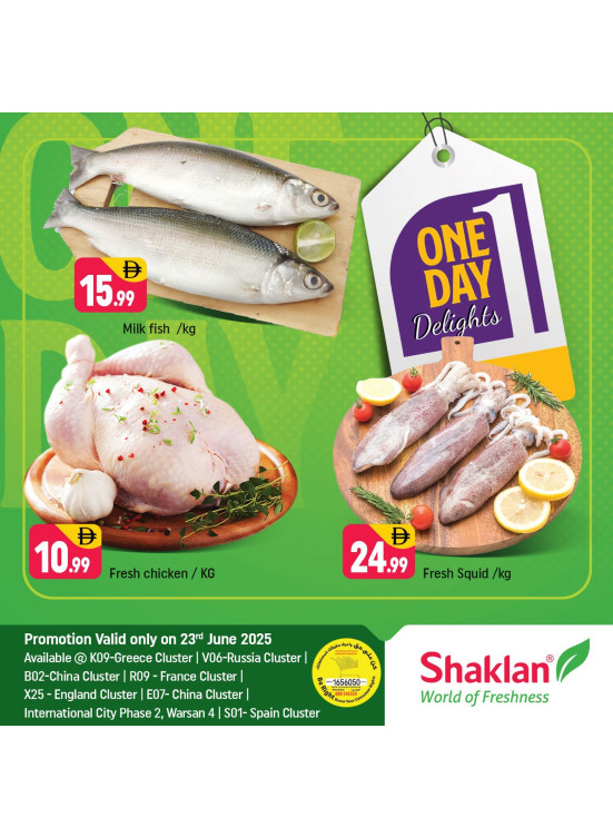 One Day Offers