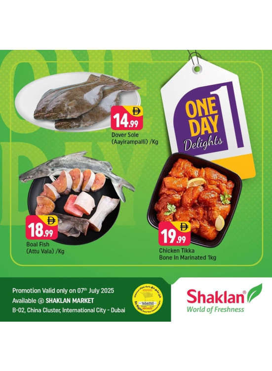 One Day Offers - B02 China Cluster, Dubai