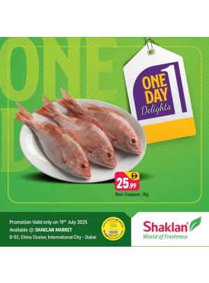 One Day Offers - B02 China Cluster, Dubai