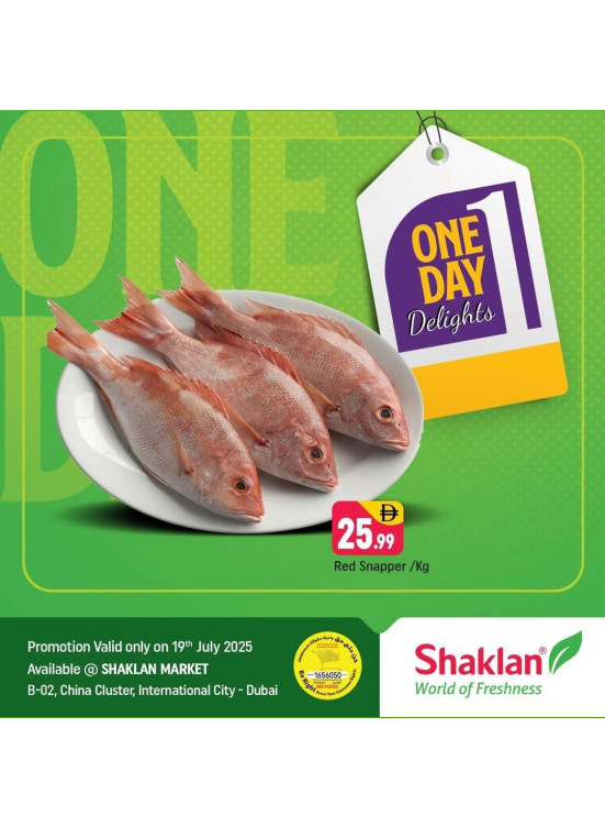 One Day Offers - B02 China Cluster, Dubai