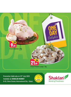One Day Offers - B02 China Cluster, Dubai