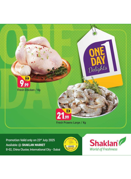 One Day Offers - B02 China Cluster, Dubai