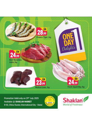 One Day Offers - B02 China Cluster, Dubai