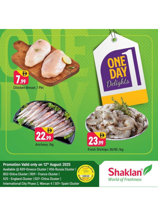 One Day Offers