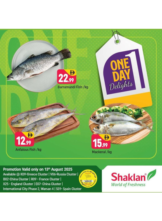 One Day Offers