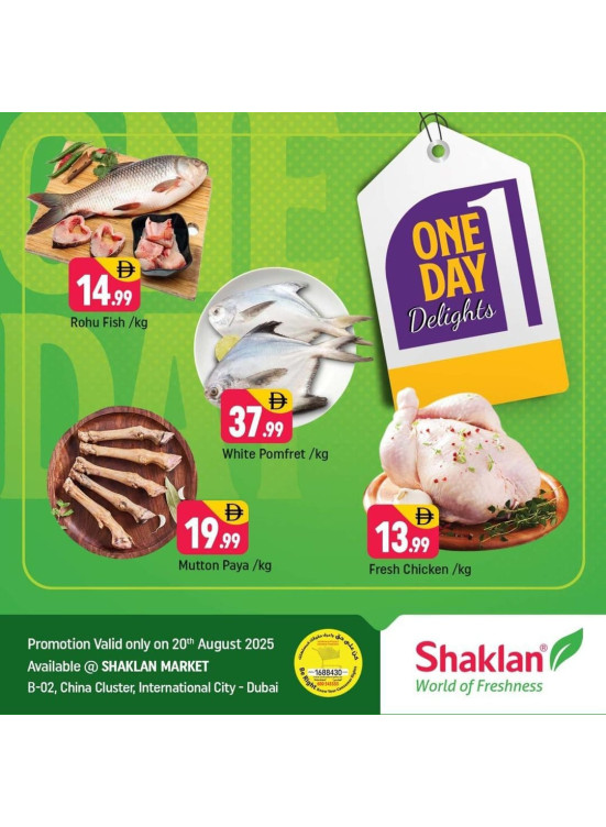 One Day Delights - B02 China Cluster, Dubai