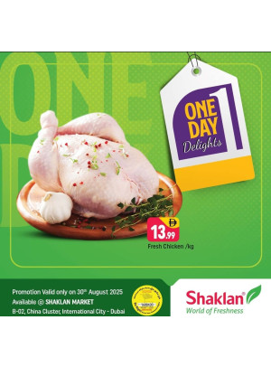One Day Delights - B02 China Cluster, Dubai