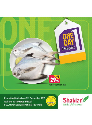 One Day Delights - B02 China Cluster, Dubai