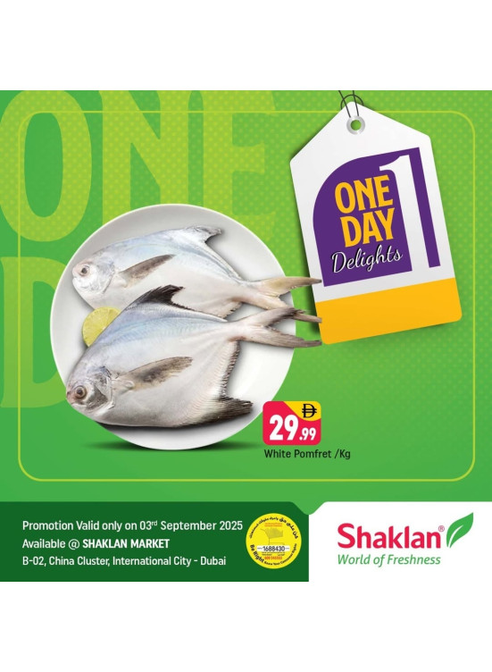 One Day Delights - B02 China Cluster, Dubai