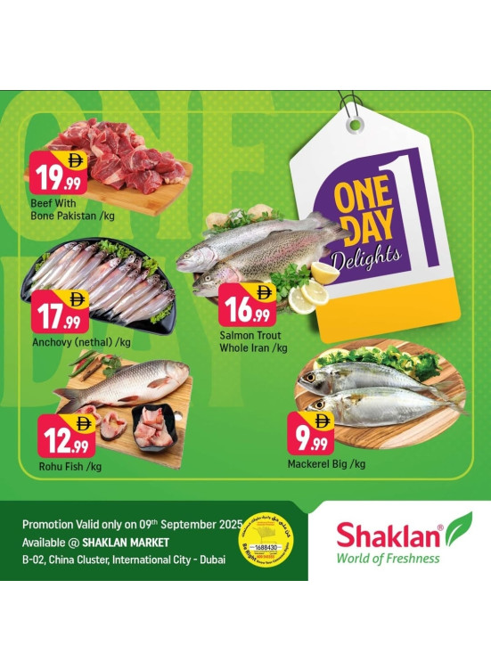 One Day Delights - B02 China Cluster, Dubai