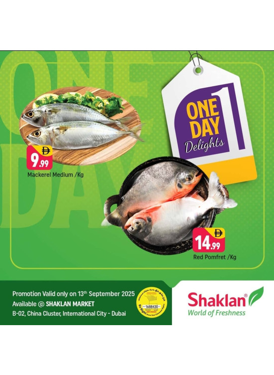 One Day Delights - B02 China Cluster, Dubai