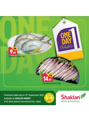 One Day Delights - B02 China Cluster, Dubai