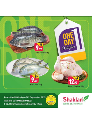 One Day Delights - B02 China Cluster, Dubai