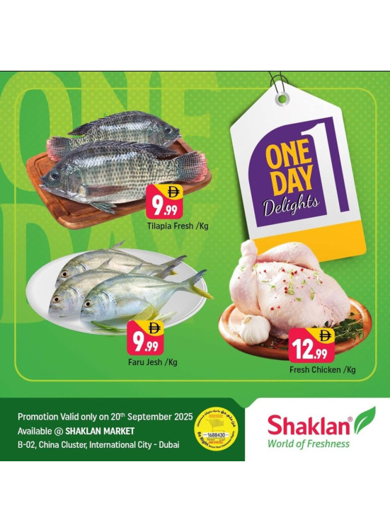 One Day Delights - B02 China Cluster, Dubai
