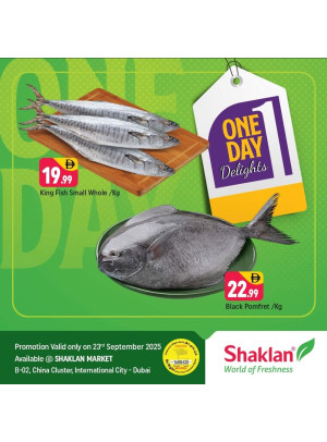 One Day Delights - B02 China Cluster, Dubai