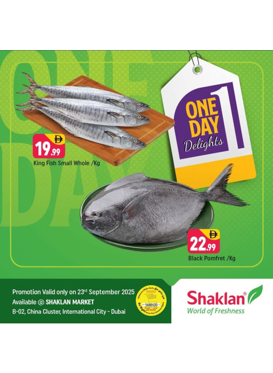 One Day Delights - B02 China Cluster, Dubai