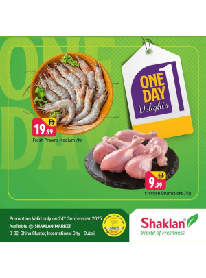 One Day Delights - B02 China Cluster, Dubai