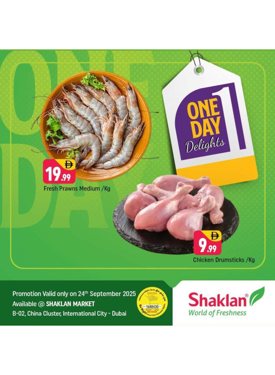 One Day Delights - B02 China Cluster, Dubai