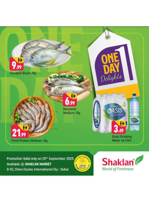 One Day Delights - B02 China Cluster, Dubai