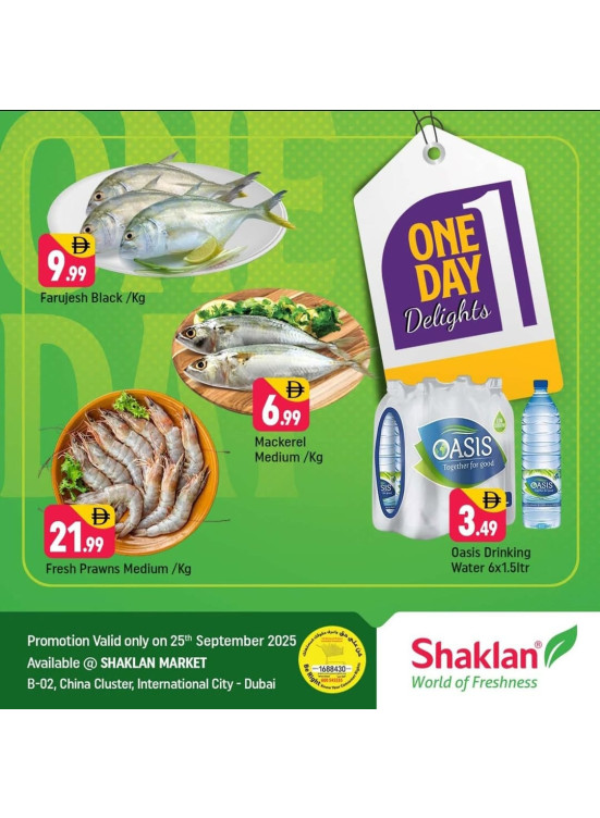 One Day Delights - B02 China Cluster, Dubai