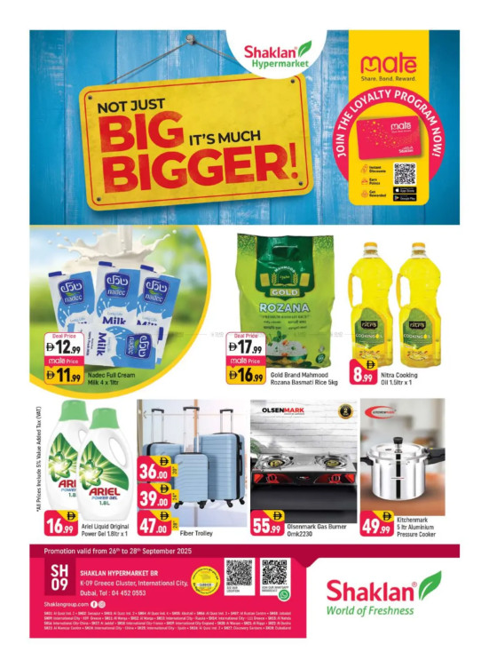 Big Deals - K-9, Greece Cluster International City