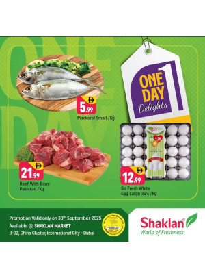 One Day Delights - B02 China Cluster, Dubai