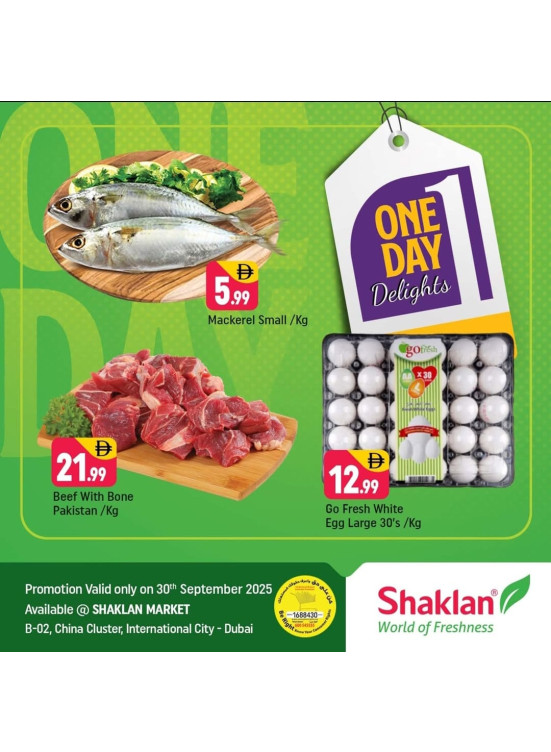 One Day Delights - B02 China Cluster, Dubai