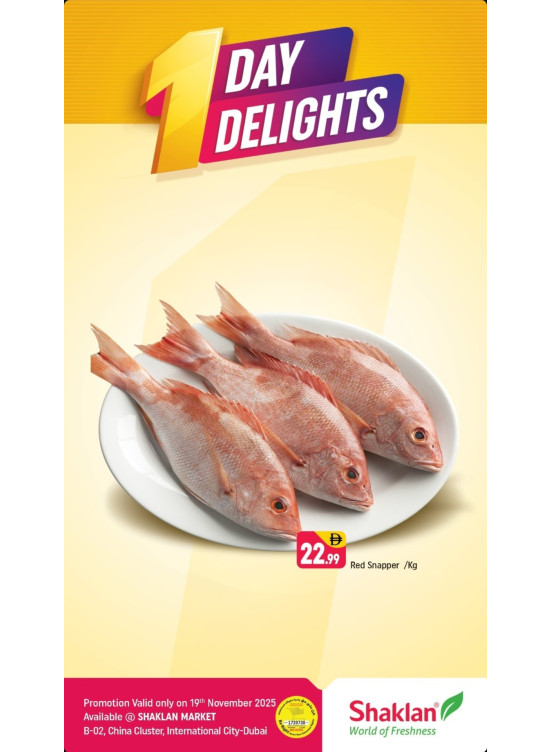 One Day Delights - B02 China Cluster, Dubai