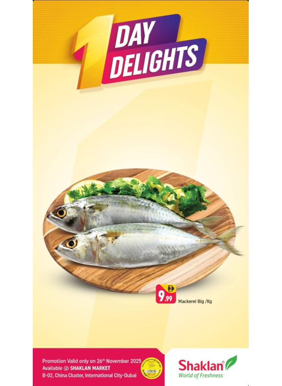 One Day Delights - B02 China Cluster, Dubai