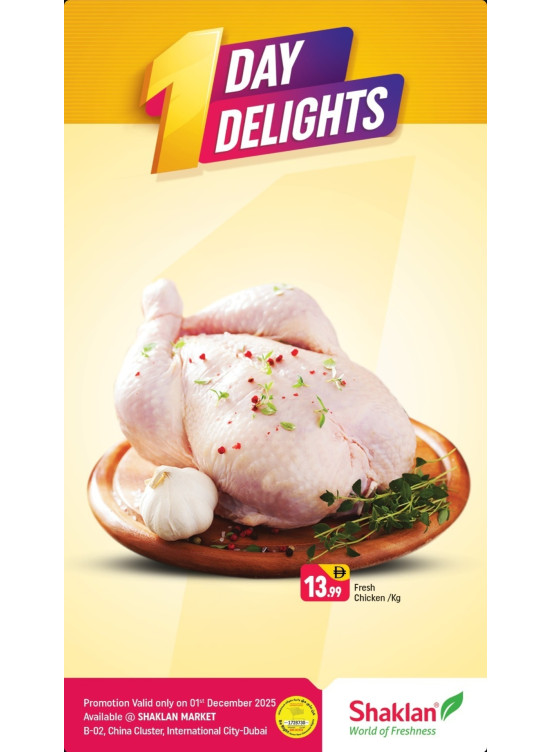 One Day Delights - B02 China Cluster, Dubai