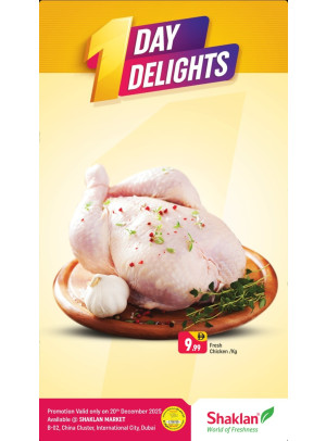 One Day Delights - B02 China Cluster, Dubai