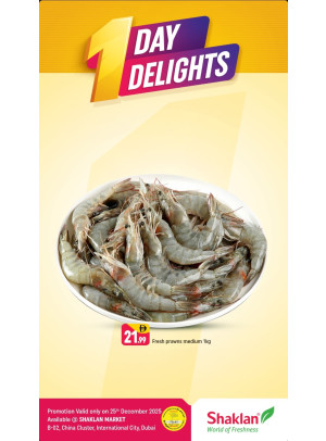 One Day Delights - B02 China Cluster, Dubai