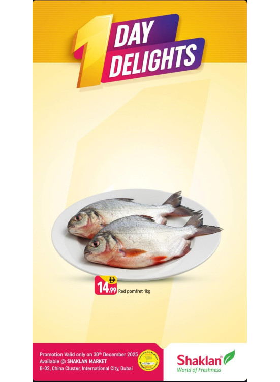 One Day Delights - B02 China Cluster, Dubai
