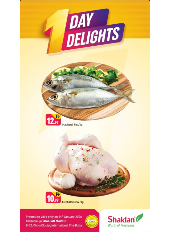 One Day Delights - B02 China Cluster, Dubai