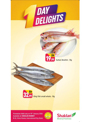 One Day Delights - B02 China Cluster, Dubai