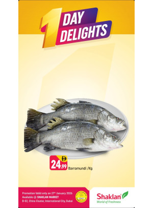 One Day Delights - B02 China Cluster, Dubai