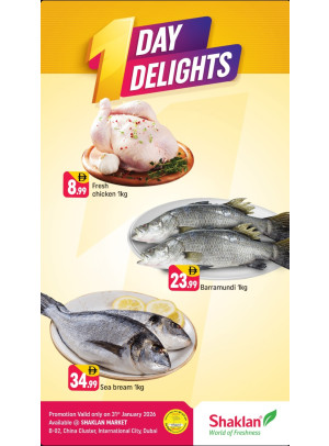 One Day Delights - B02 China Cluster, Dubai