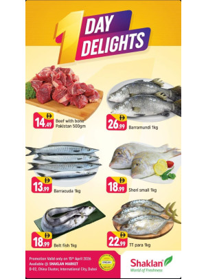 One Day Delights - B02 China Cluster, Dubai
