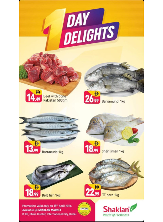 One Day Delights - B02 China Cluster, Dubai