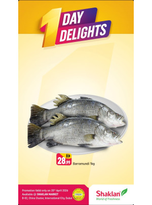 One Day Delights - B02 China Cluster, Dubai