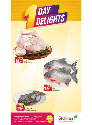 One Day Delights - B02 China Cluster, Dubai