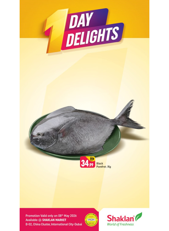 One Day Delights - B02 China Cluster, Dubai