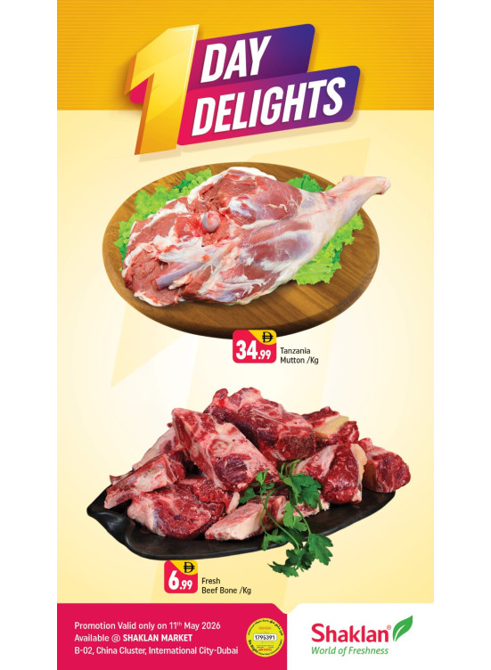 One Day Delights - B02 China Cluster, Dubai