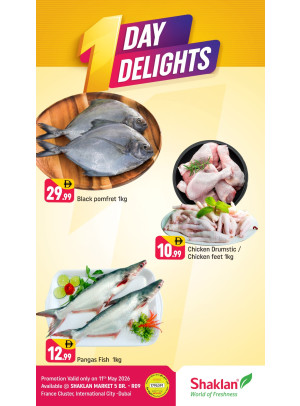 One Day Delights - R09, International City, France Cluster
