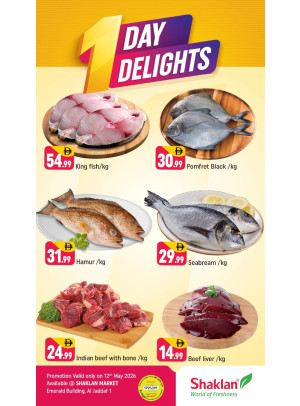 One Day Delights - Al Jaddaf 1, Dubai