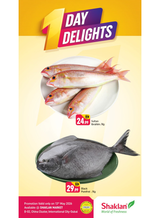 One Day Delights - B02 China Cluster, Dubai