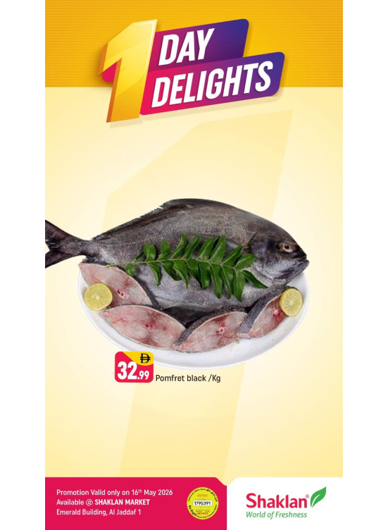 One Day Delights - Al Jaddaf 1, Dubai
