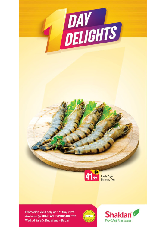 One Day Delights - Wadi Al Safa 5, Dubailand